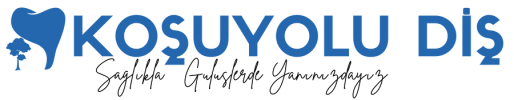 https://kosuyoludis.com/wp-content/uploads/2025/01/KOSUYOLU-DIS-1-e1738071648244.png